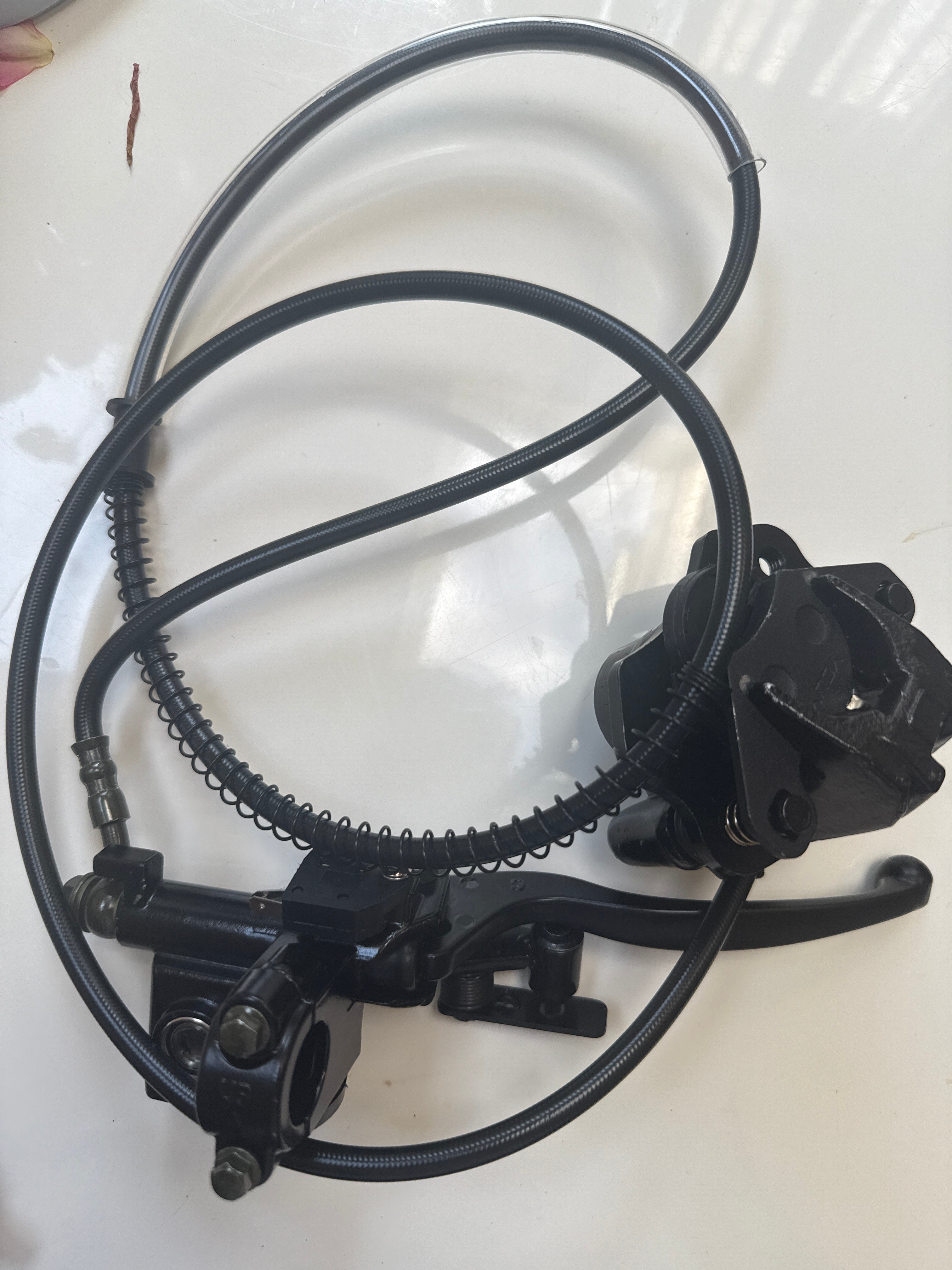 Upgraded Tuttio Rear Brakes