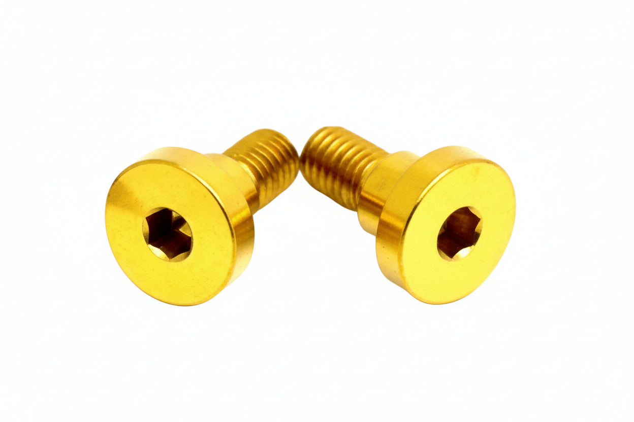 Titanium Battery Lid Bolts - E-Ride Pro -  (Two Pcs)