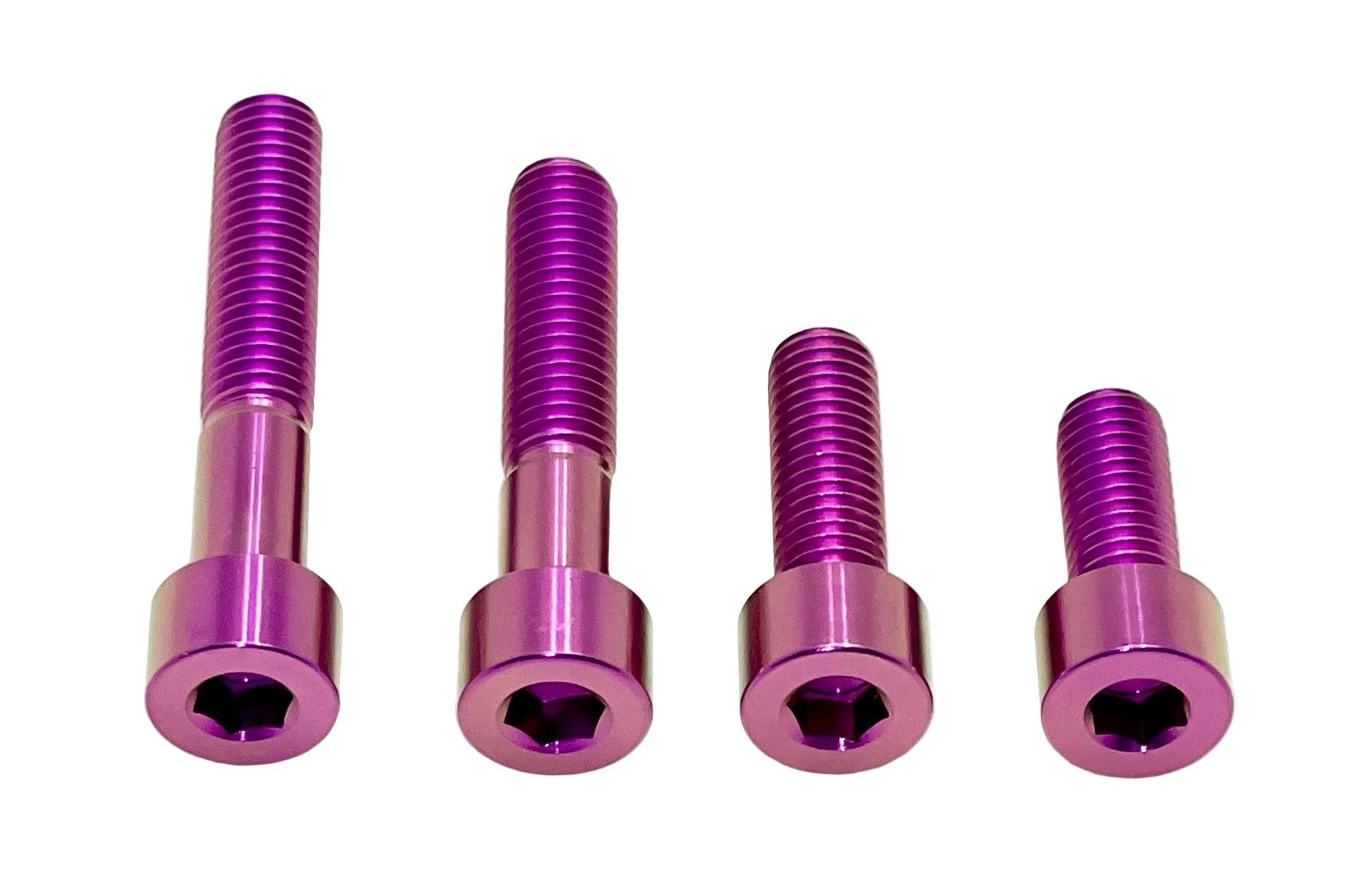Titanium Motor Bolts - Talaria XXX